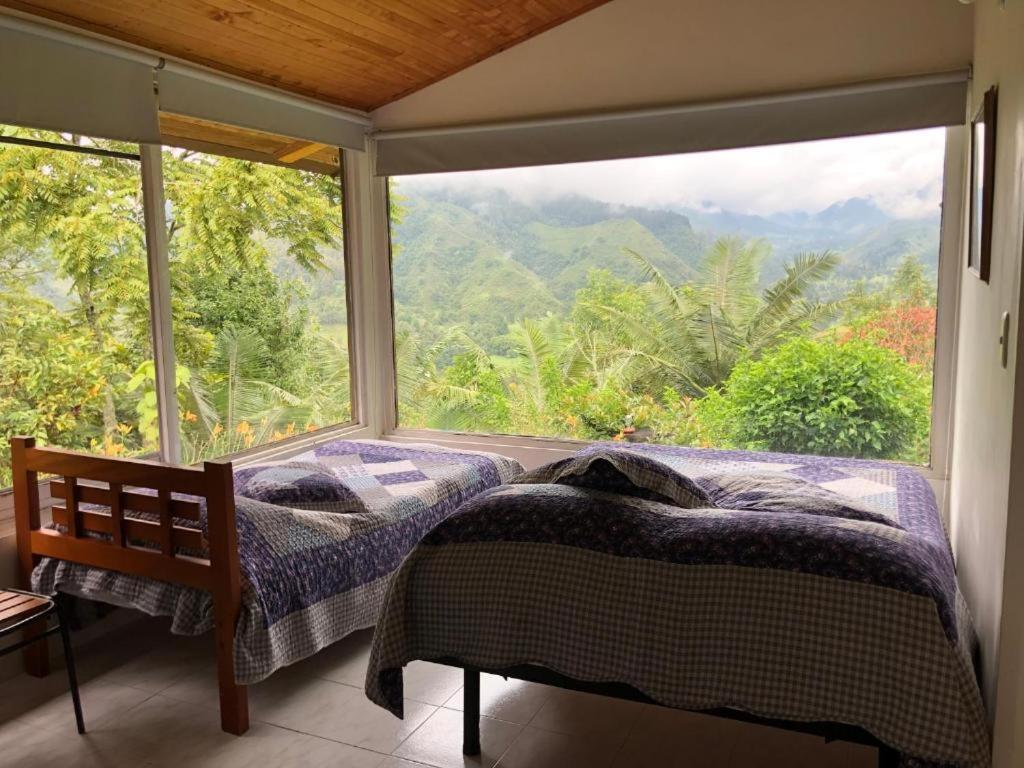 Salento Finca Hotel Mundo Nuevo المظهر الخارجي الصورة